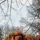 Урюпинск - Элиста - Кисловодск - Ставрополь - Ессентуки - Владикавказ - Железноводск - Новочеркасск - Каменск-Шахтинский - Новохопёрск - усадьба Мосоловых в Дубне
