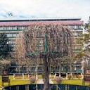Урюпинск - Элиста - Кисловодск - Ставрополь - Ессентуки - Владикавказ - Железноводск - Новочеркасск - Каменск-Шахтинский - Новохопёрск - усадьба Мосоловых в Дубне